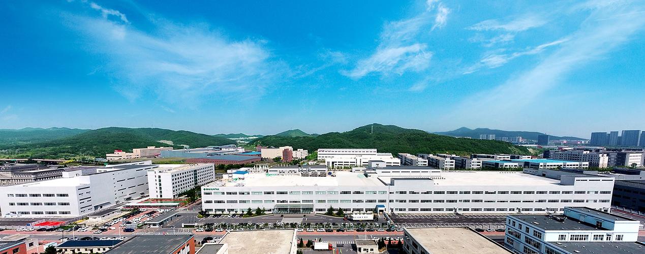 崇达技术股份与民办培训服务机构 双轨前进的中国经济缩影